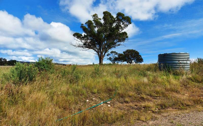 Lot 75 Green Valley Rd, Bendemeer, NSW 2355