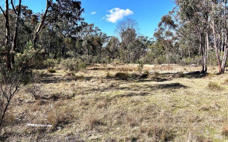 416 Box Forest Rd, Kingstown, NSW 2358